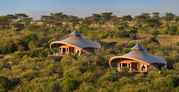Сафари-парк в Кении