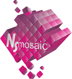 NSmosaic