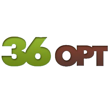 36OPT.RU