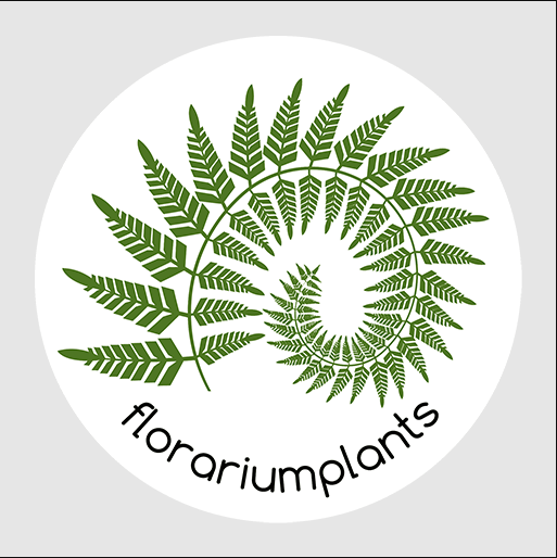 Florariumplants